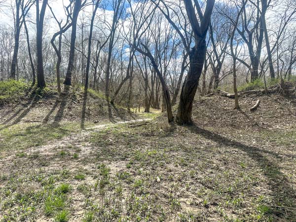 Wooded tract near Wayne National Forest