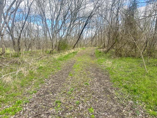 Undeveloped land with natural features