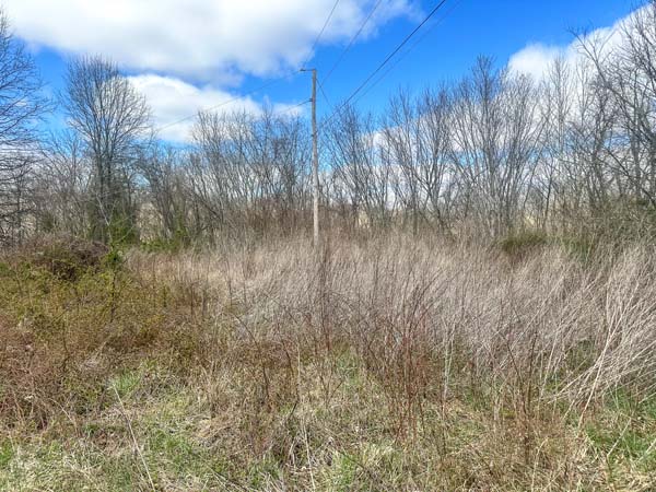 River peninsula ideal for recreation