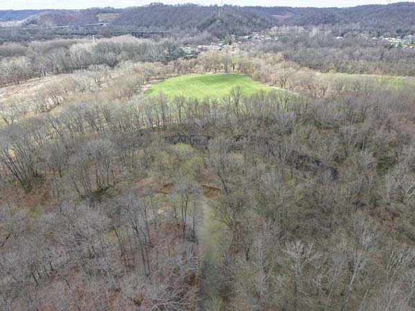 Dense timber habitat with deer trails