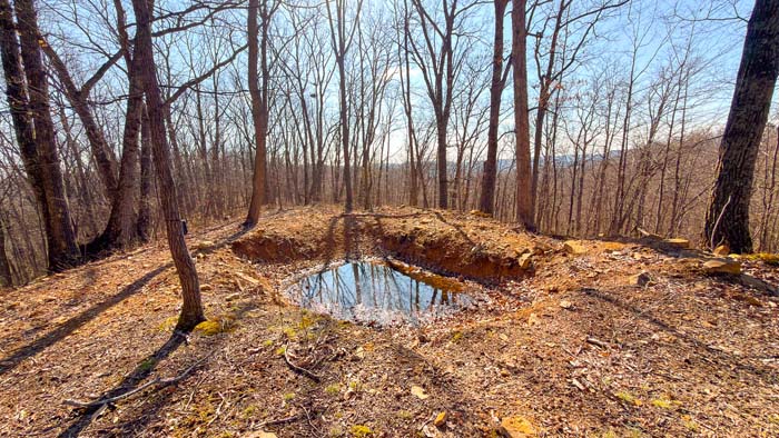 Ohio land with mixed hardwood timber and cover