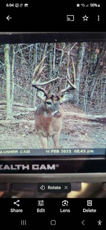 Remote cabin site within wooded acreage