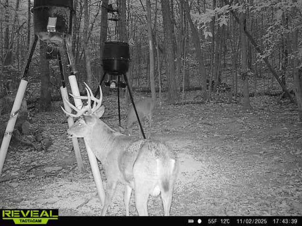 Southern Ohio hunting ground with elevation changes