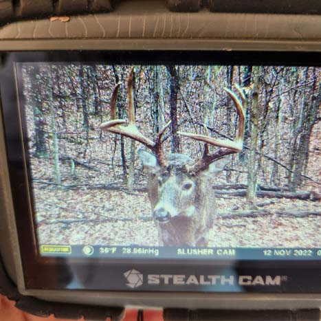 Forest clearing suitable for food plots or stands