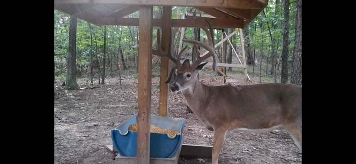Aerial view of 29 acre property in Scioto County Ohio
