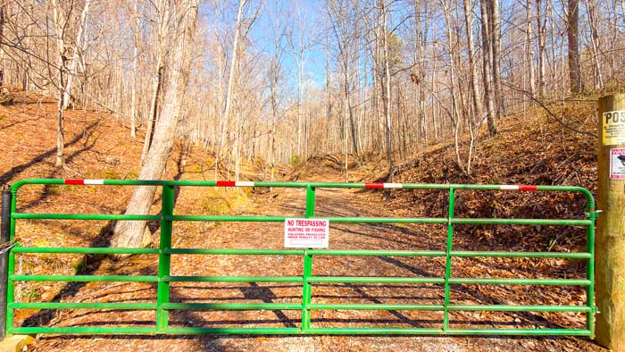 Aerial showing property boundaries and timber