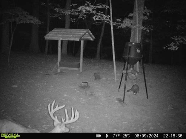 Hunting land with water source for wildlife