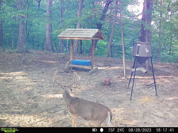 Elevated terrain offering strategic stand placement