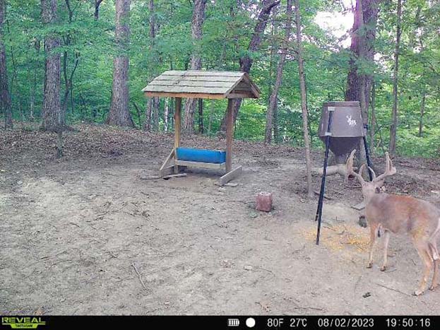 Quiet rural setting with privacy and seclusion