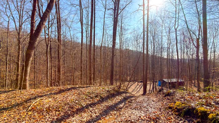 Wooded hunting parcel with excellent cover