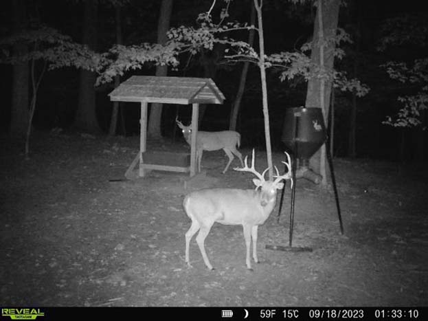 Wooded acreage with established trails and wildlife habitat