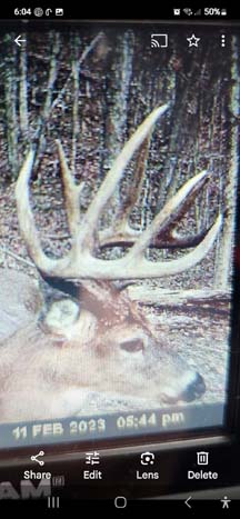 Trail access throughout hunting acreage