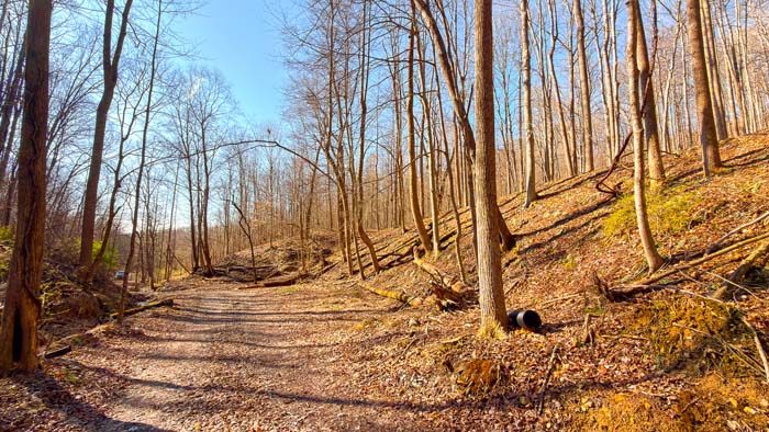 Ohio hunting land with strategic layout