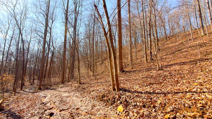 Remote property offering privacy and wildlife