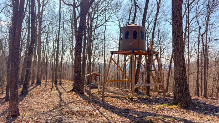 Mature timber stand on recreational acreage