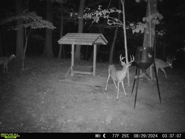 Aerial showing wooded acreage and access