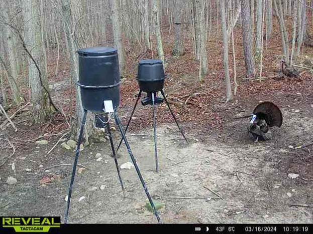 Forest trails throughout hunting property
