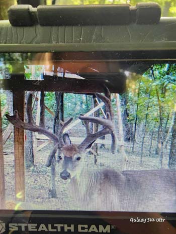 Southern Ohio land with natural wildlife corridors