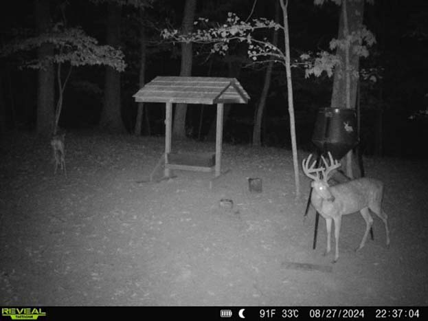 Private acreage with excellent hunting setup