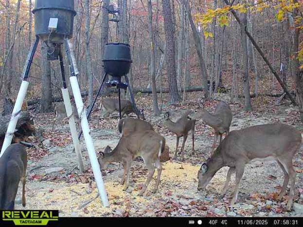 Wooded parcel with rolling hills and timber