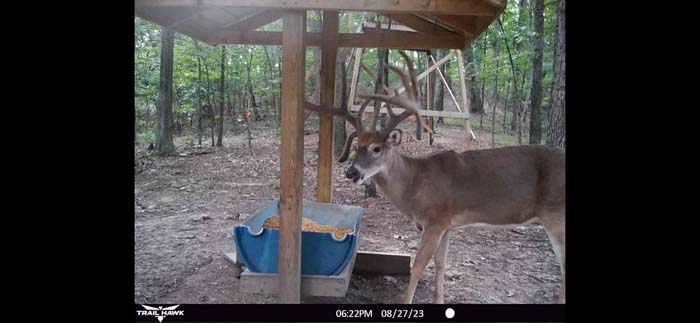 Aerial perspective of hunting land in Ohio