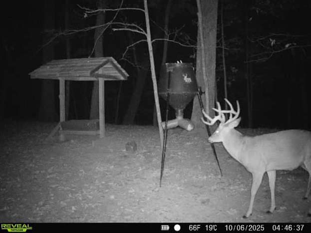 Secluded wooded retreat with abundant wildlife