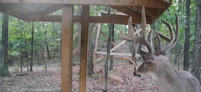 Trail system for easy access across acreage