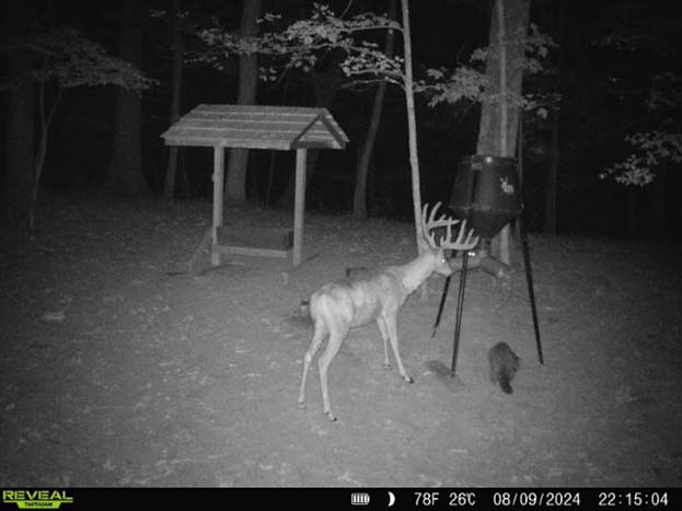 Hunting land with established blind locations