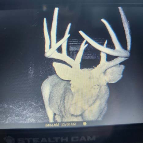 Wooded terrain with excellent cover and habitat