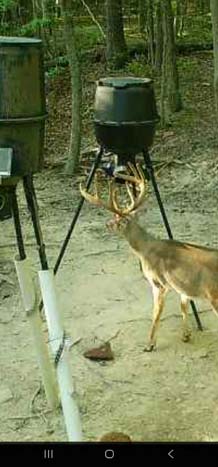 Quiet rural setting with dense timber