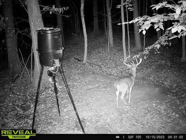 Secluded land at the end of a dead end road in southern Ohio