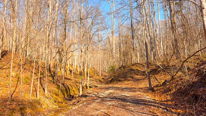 Ohio recreational land with wildlife features