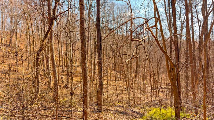 Southern Ohio wooded acreage for recreation