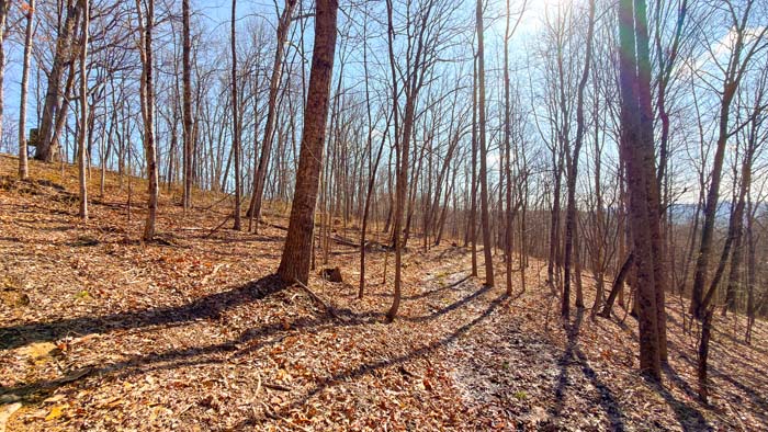 Aerial overview of secluded hunting land
