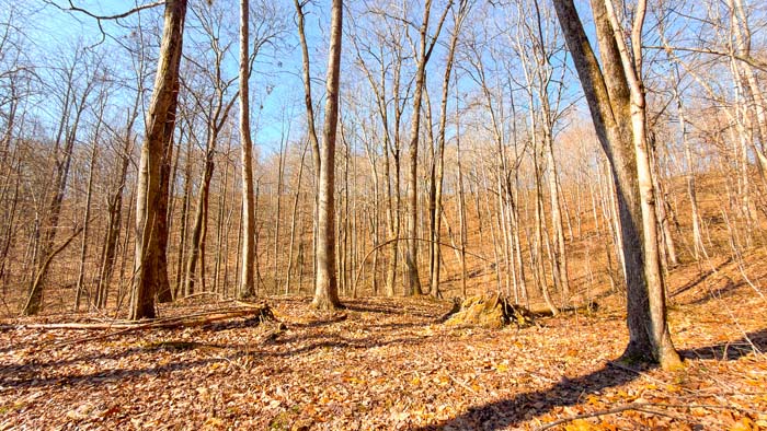 Trail system connecting key hunting areas