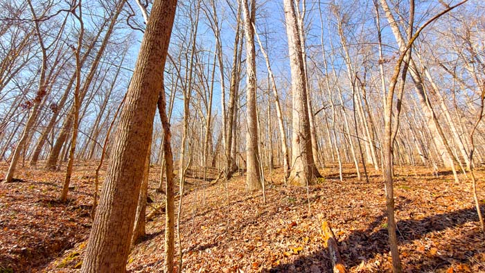 Recreational land in scenic southern Ohio
