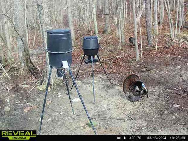 Aerial overview of wooded hunting property