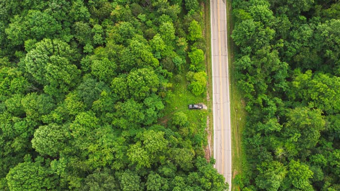 gently sloping terrain with mixed timber