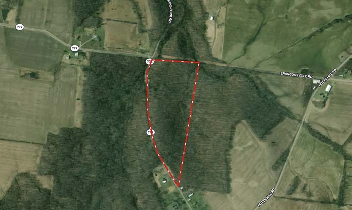 broad forest corridor with building potential