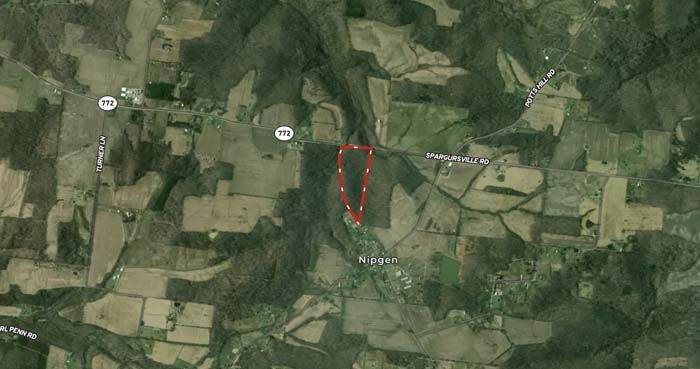 deep wooded interior with ATV access trail