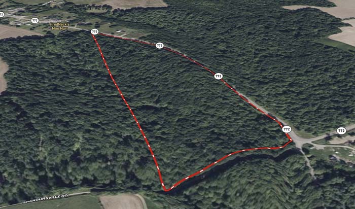 forested property line and utility access point