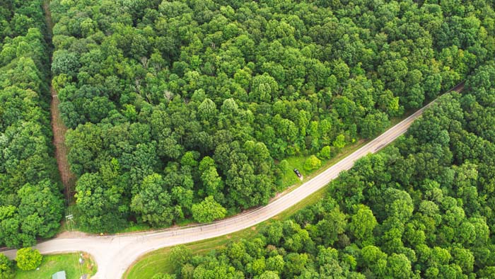 wooded ridge line with valley below