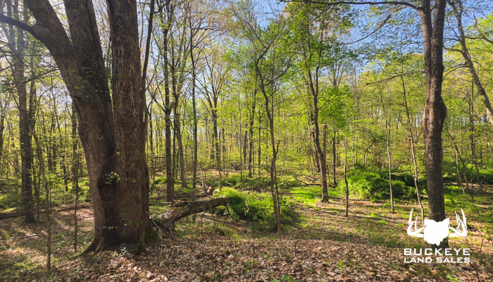 0 Spargursville Road 22+/- Acres, Waverly, Oh 45690