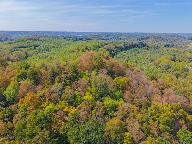 Meigs County 82 acres for sale