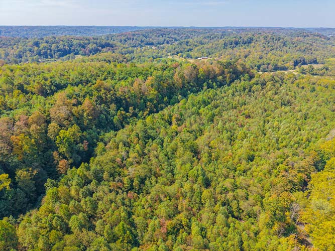 Ridge with hunting setup