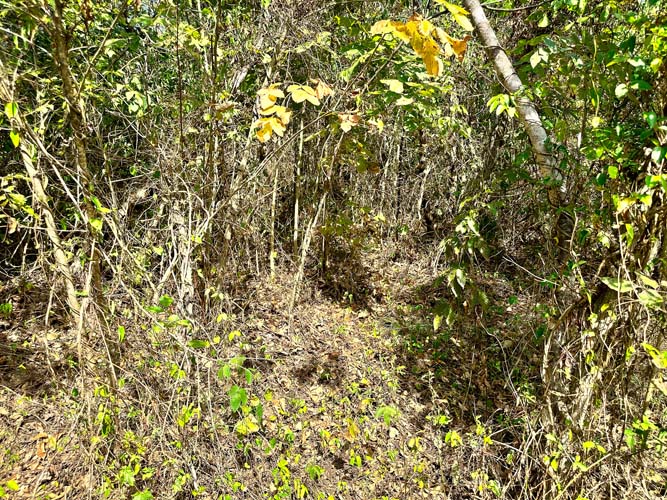 SR 124 road frontage access