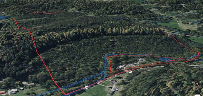 Wooded hollow wildlife travel