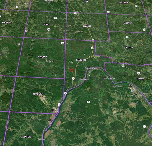 Bradbury Square big woods area