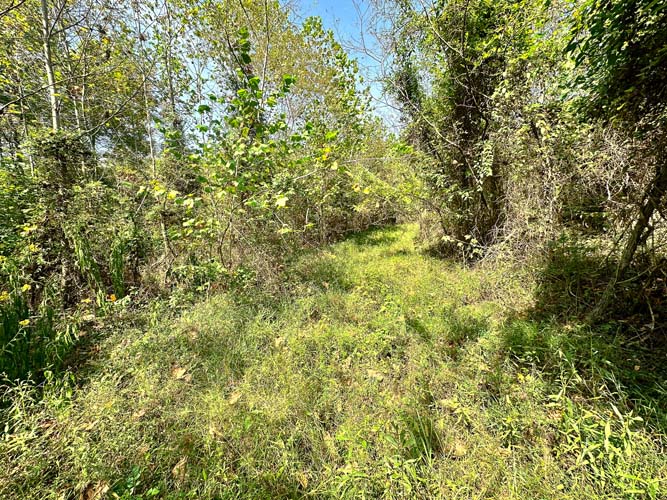Thomas Fork creek frontage