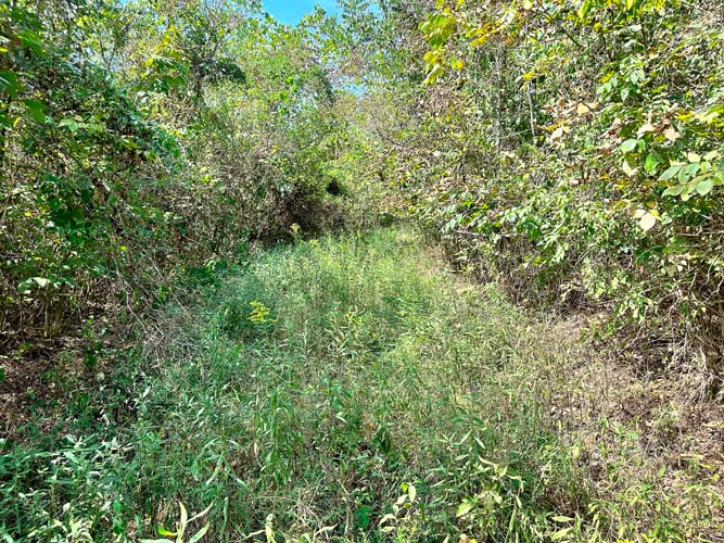 Ridgetop plateau bedding cover